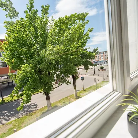 Apartment Iggy Premium