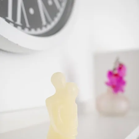 Iggy Premium Apartment Hunedoara