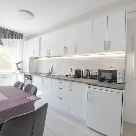 Apartment Iggy Premium Hunedoara